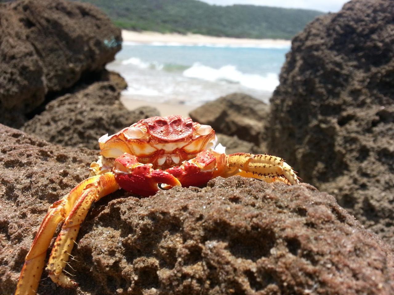 House 53 Sodwana Bay Lodge Экстерьер фото
