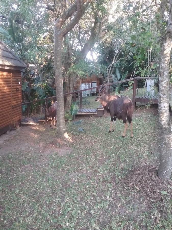 House 53 Sodwana Bay Lodge Экстерьер фото